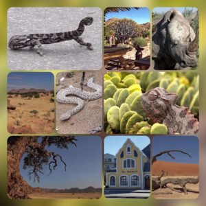 Namibia Collage