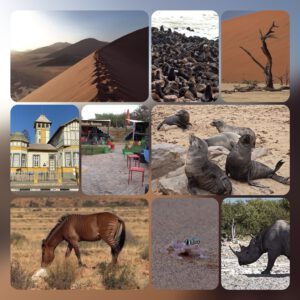 Namibia Collage