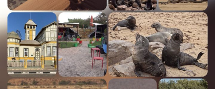 Namibia Collage